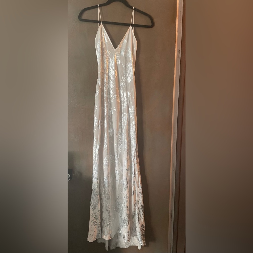 Silver and White Gown